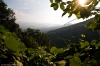 2008-06-22_19-23_e4_5388-30.jpg 2008-06-22_19-23_e4_5388-30.jpg