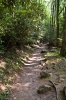 Wanderweg