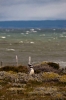 Filename=2014-02-08_10-30_e4_5016-30.jpg
Filesize=85KiB
Dimensions=683x1024
Date added=May 18, 2014 2014-02-08_10-30_e4_5016-30.jpg