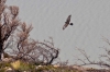 Filename=2014-02-13_15-33_e4_5844-30.jpg
Filesize=91KiB
Dimensions=1024x683
Date added=May 18, 2014 2014-02-13_15-33_e4_5844-30.jpg