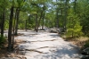 2008-06-01_13-53_e4_4624-30.jpg