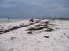 2008-06-15_14-32_i5_3418-30.jpg