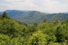 2008-07-19_14-42_e4_6351-30.jpg