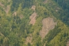 2008-07-19_14-47_e4_6362-30.jpg