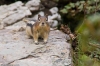 2008-08-10_12-28_e4_7594-30.jpg