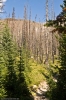 2008-08-16_14-41_e4_7800-30.jpg