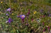 2008-08-16_15-07_e4_7857-30.jpg