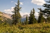 2008-08-16_15-08_e4_7860-30.jpg