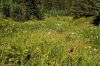 2008-08-16_15-19_e4_7879-30.jpg