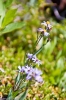 2008-08-23_11-39_e4_8298-30.jpg