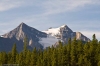2008-08-24_08-53_e4_8470-30.jpg